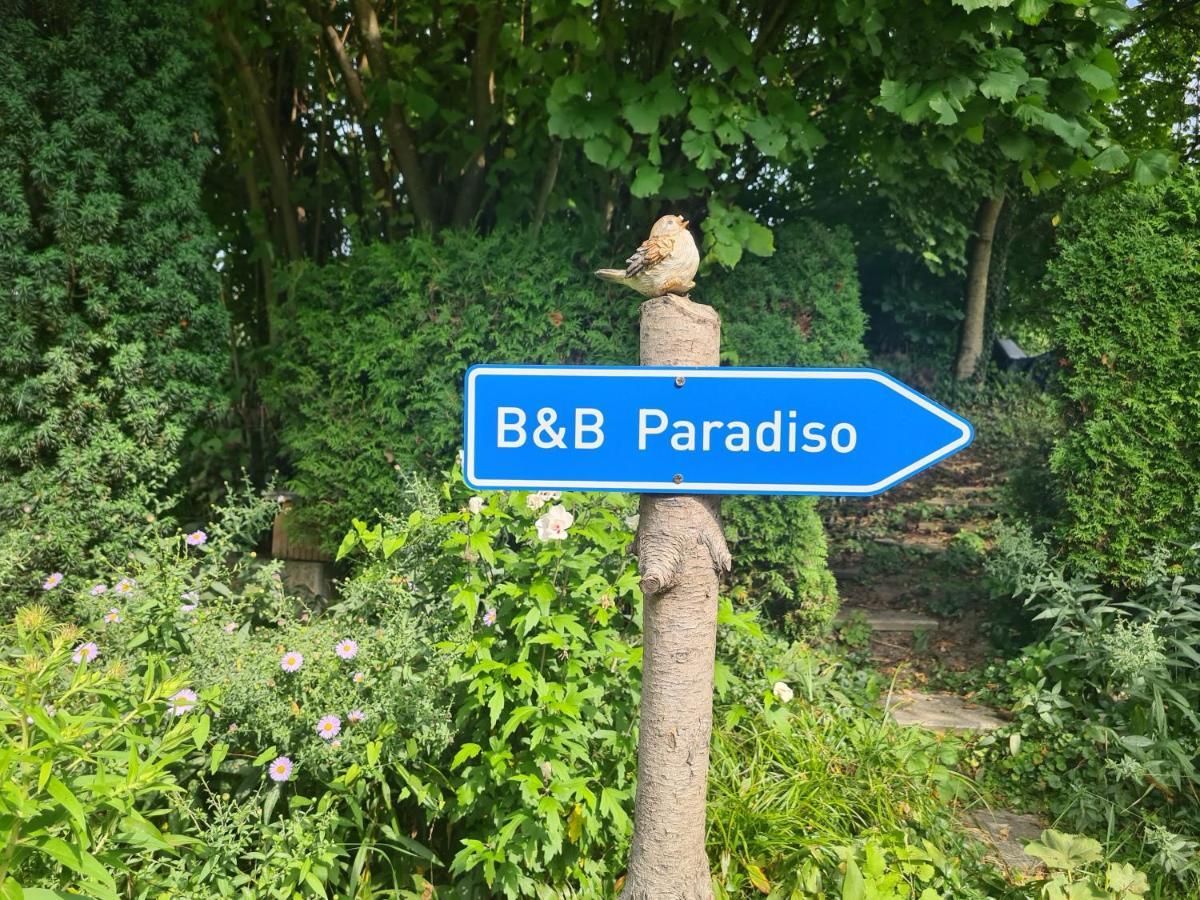 Zimmer Paradiso 부징겐엠호크리엔 외부 사진
